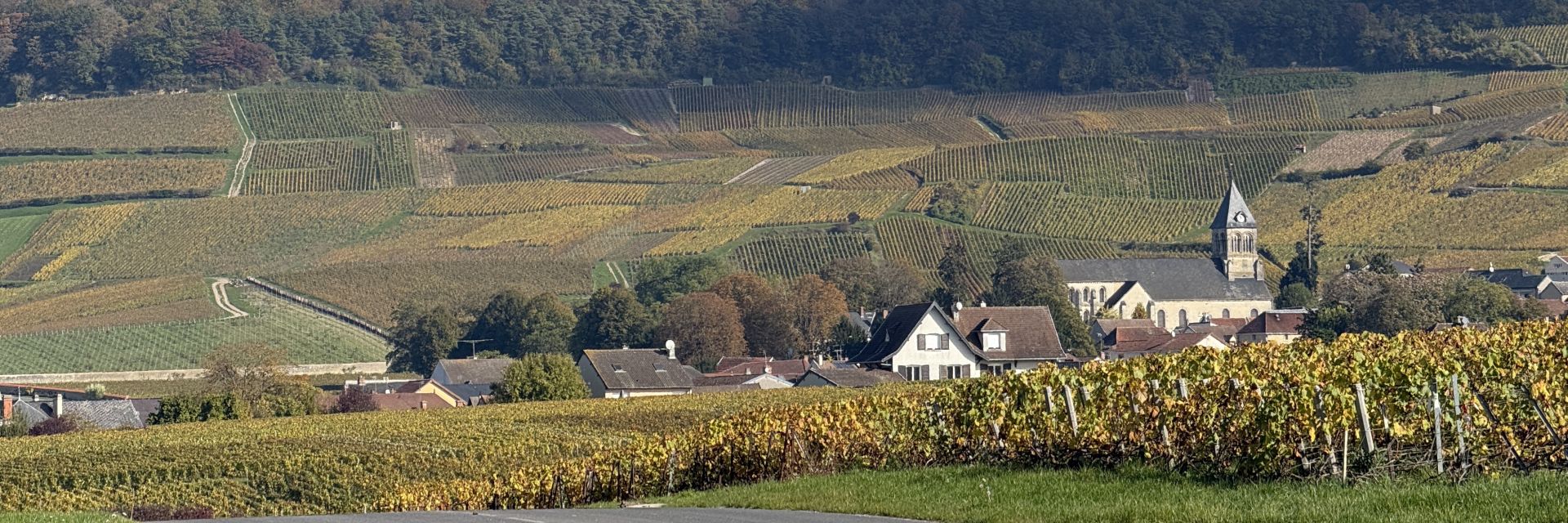 Herfst in de Champagne