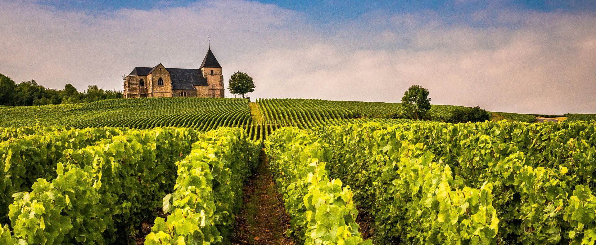 Champagne kopen? Ontdek exclusieve champagnes van kleine huizen