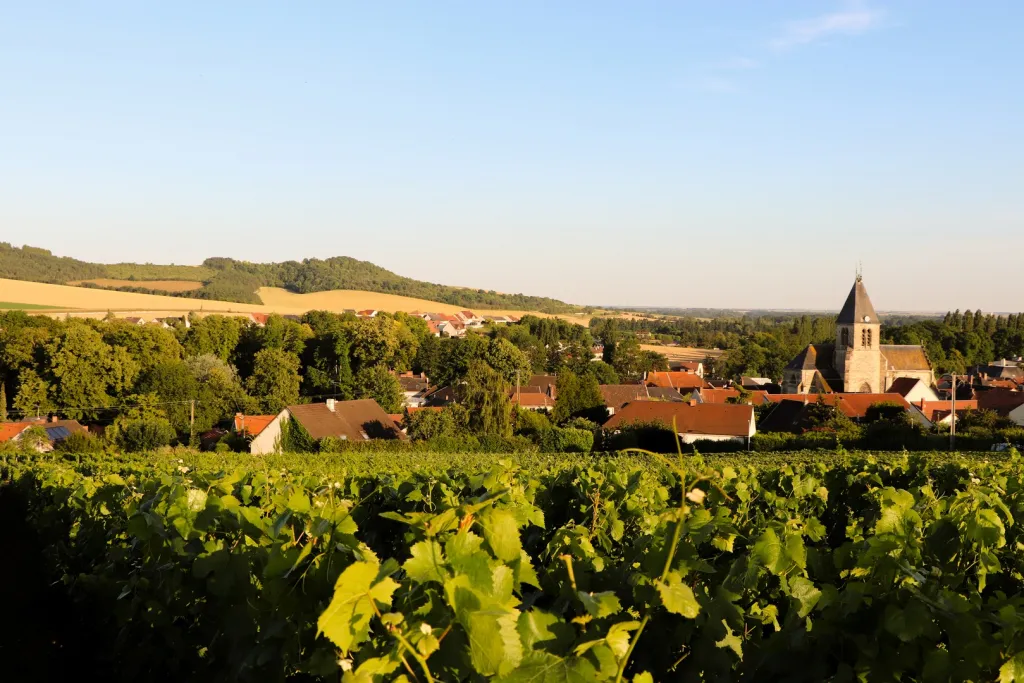 Avenay-Val-d'Or